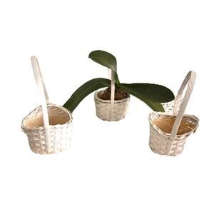 Vintage Set of 3 Wicker mini Pots Baskets Plants White Farmhouse